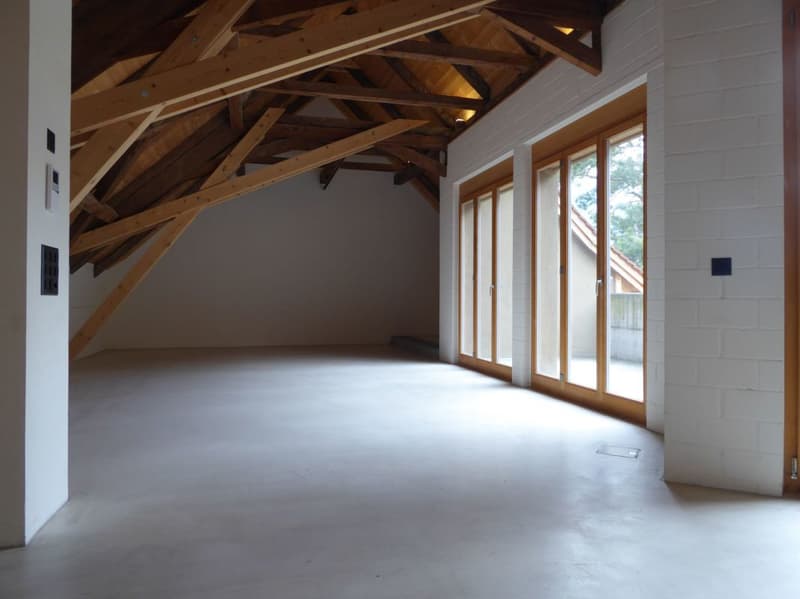 4 1/2-Zimmer-Maisonette-Wohnung (7)