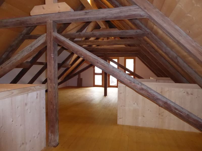 4 1/2-Zimmer-Maisonette-Wohnung (13)