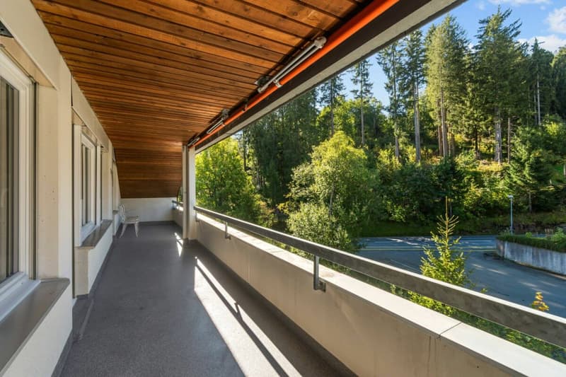 grosszügige 3-Zimmer-Ferienwohnung mit Balkon und einem Tiefgaragenplatz (18)