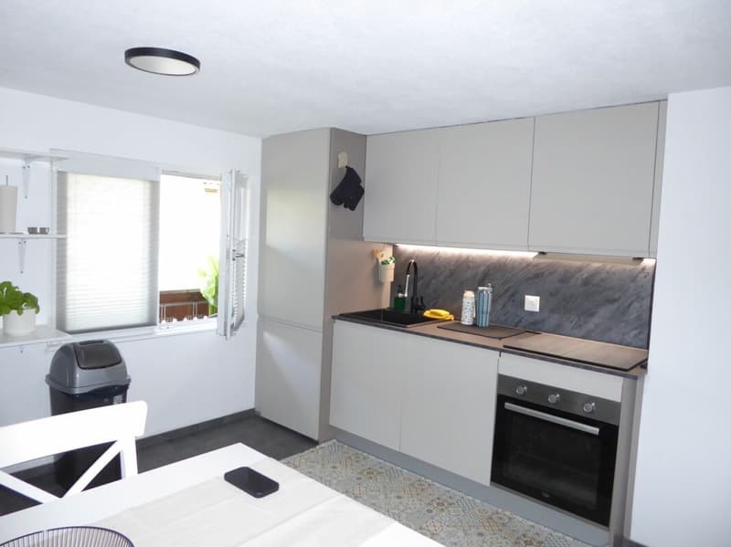 4 1/2-Zimmer-Wohnung an ruhiger Lage (3)
