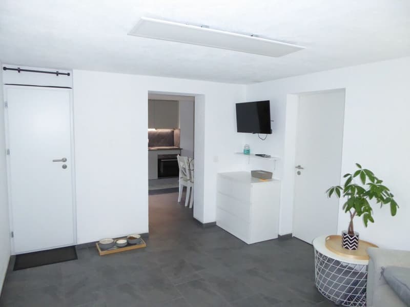 4 1/2-Zimmer-Wohnung an ruhiger Lage (7)
