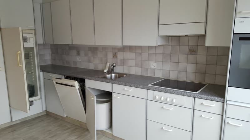 grosszügige 4.5-Zimmerwohnung an ruhiger Lage (8)