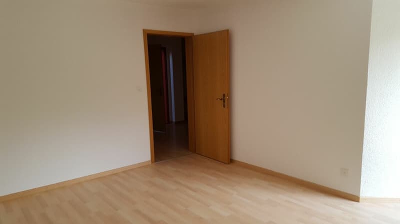 grosszügige 4.5-Zimmerwohnung an ruhiger Lage (2)