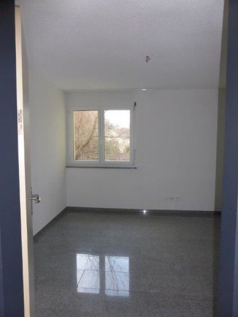 schöne 5.5 Zimmerwohnung an ruhiger Lage (10)