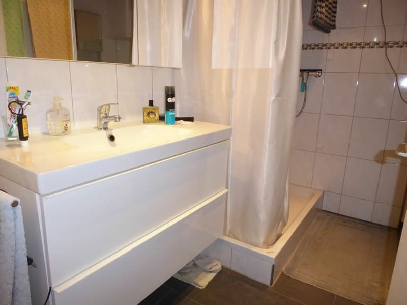 freistehendes 4-Zimmer-Haus (8)