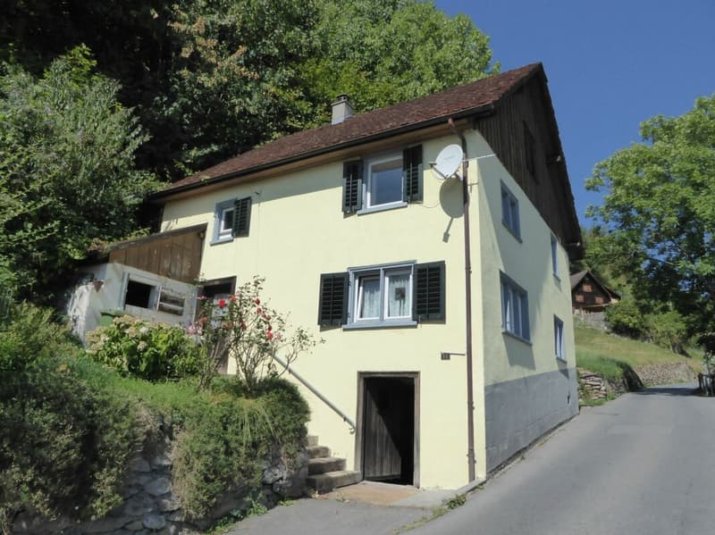 freistehendes 4-Zimmer-Haus (1)