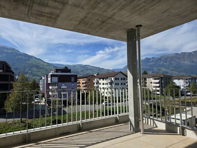 4 1/2-Zimmer-Wohnung - Neubauprojekt "Rheincity" (3)