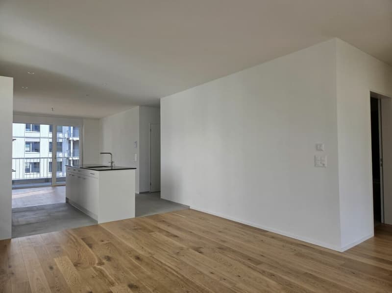 4 1/2-Zimmer-Wohnung - Neubauprojekt "Rheincity" (2)