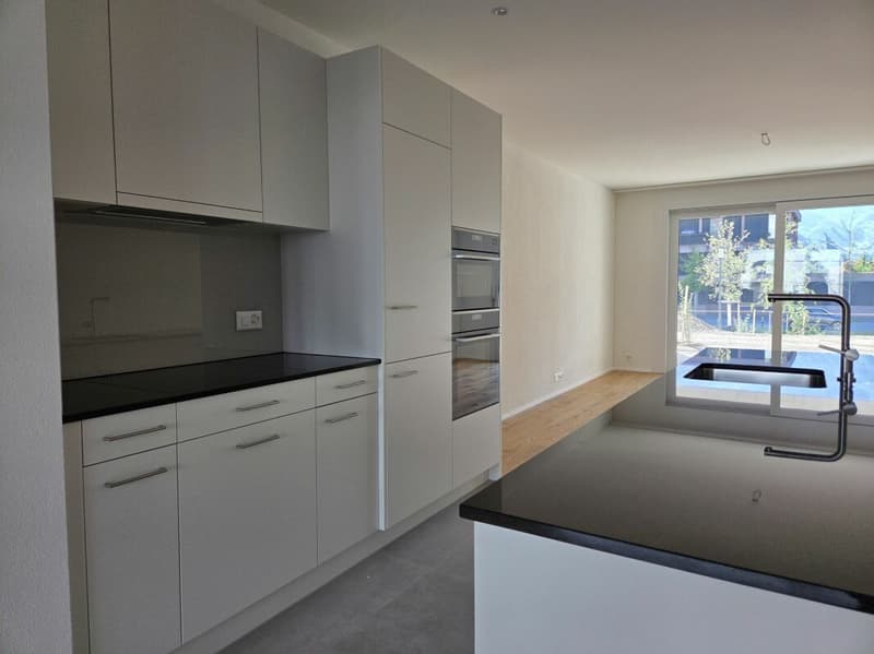 4 1/2-Zimmer-Wohnung - Neubauprojekt "Rheincity" (4)