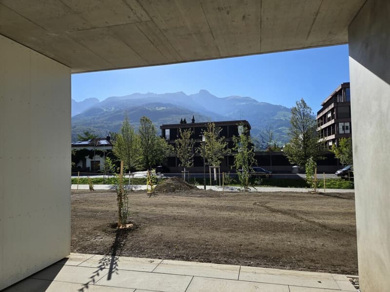 4 1/2-Zimmer-Wohnung - Neubauprojekt "Rheincity" (7)