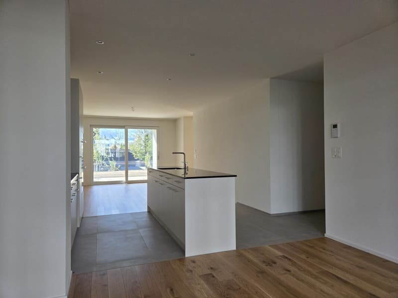 4 1/2-Zimmer-Wohnung - Neubauprojekt "Rheincity" (2)