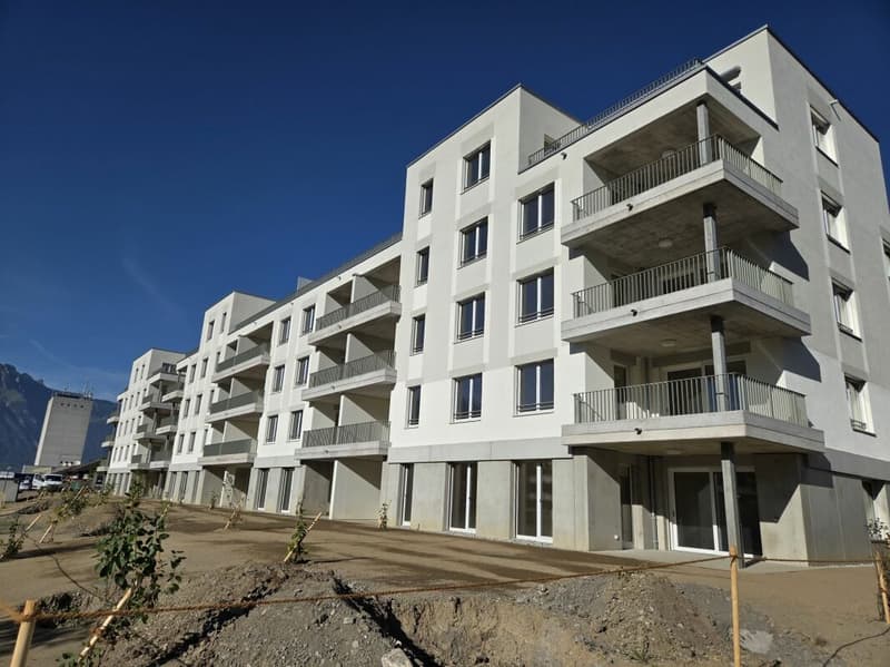 4 1/2-Zimmer-Wohnung - Neubauprojekt "Rheincity" (12)