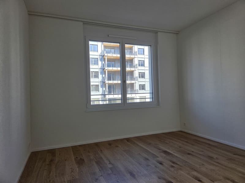 5 1/2-Zimmer-Wohnung - Neubauprojekt "Rheincity" (12)