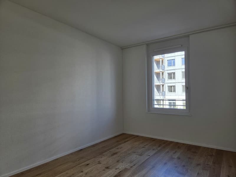 5 1/2-Zimmer-Wohnung - Neubauprojekt "Rheincity" (11)