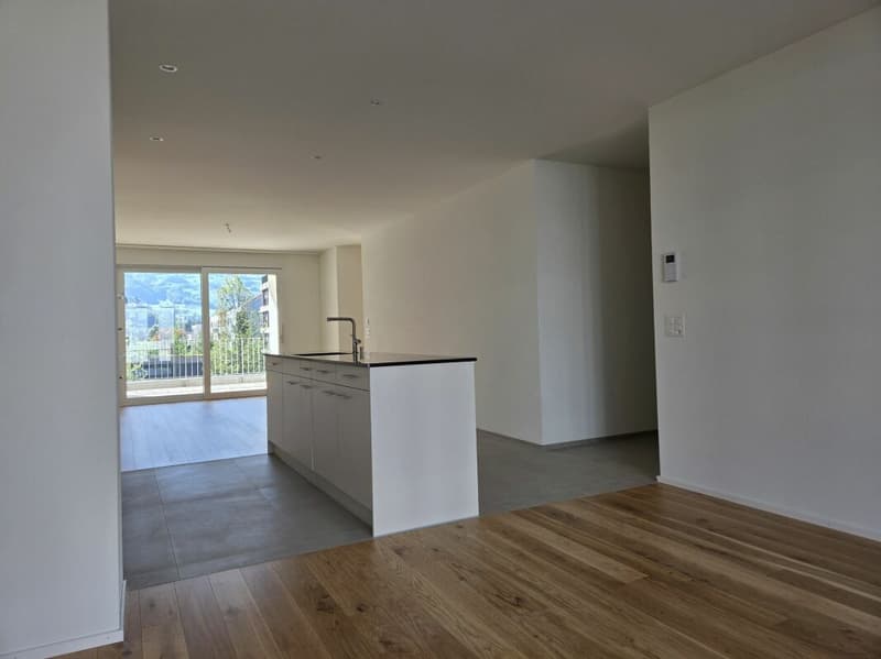 5 1/2-Zimmer-Wohnung - Neubauprojekt "Rheincity" (5)