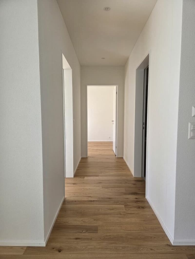 5 1/2-Zimmer-Wohnung - Neubauprojekt "Rheincity" (8)