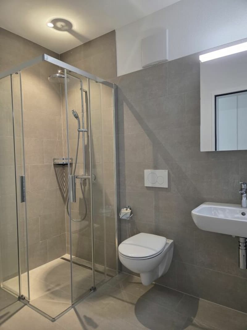 5 1/2-Zimmer-Wohnung - Neubauprojekt "Rheincity" (9)
