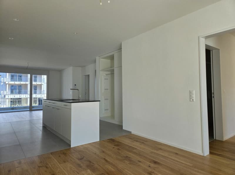 3 1/2-Zimmer-Wohnung - Neubauprojekt "Rheincity" (6)