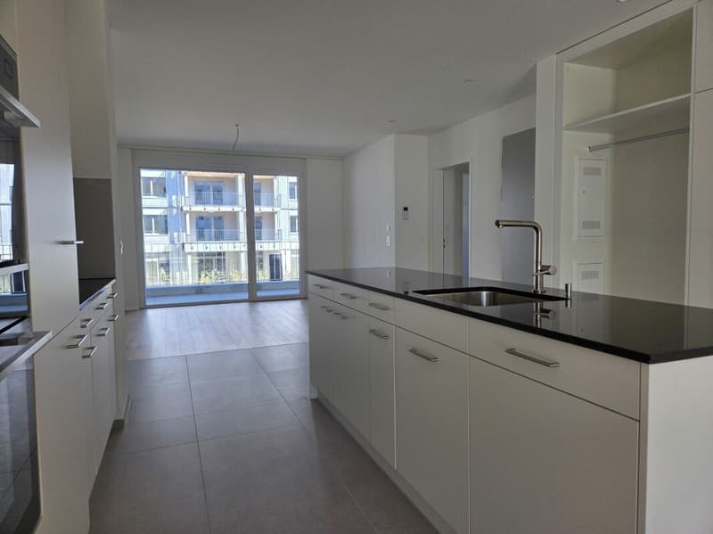 3 1/2-Zimmer-Wohnung - Neubauprojekt "Rheincity" (1)