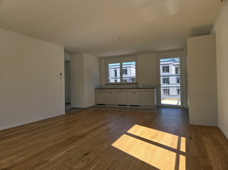 4 1/2-Zimmer-Wohnung - Neubauprojekt "Rheincity" (2)