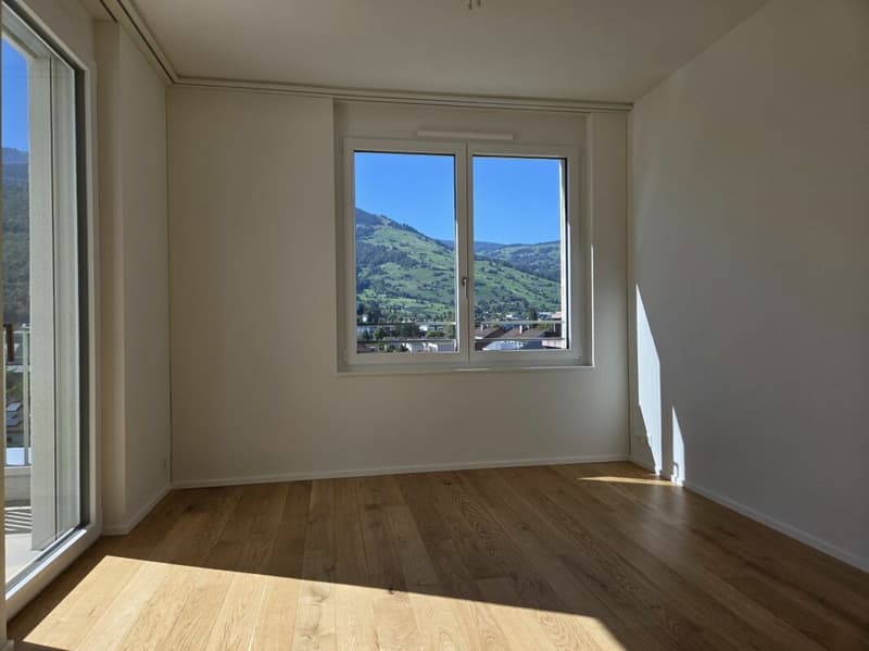 4 1/2-Zimmer-Wohnung - Neubauprojekt "Rheincity" (12)