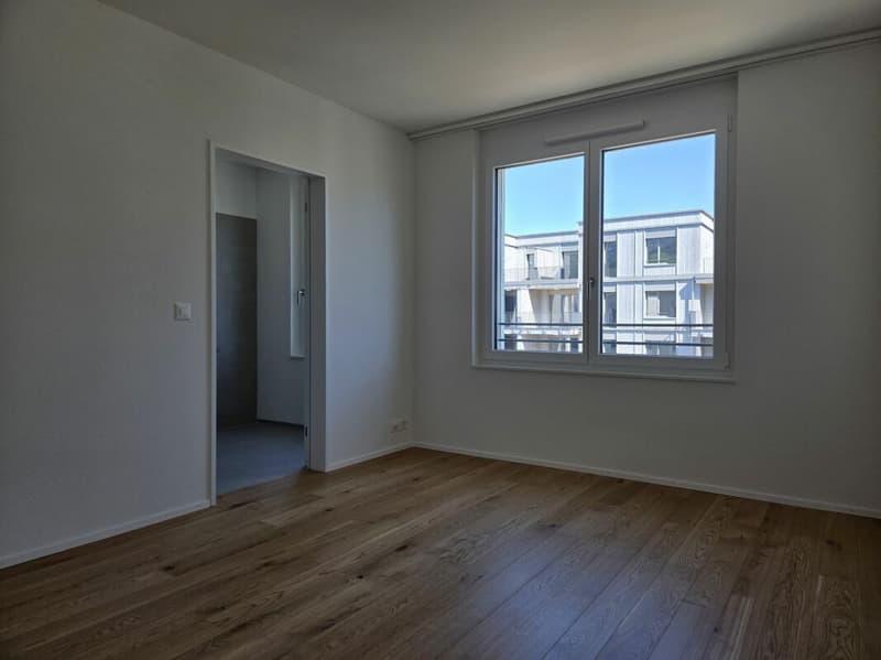 4 1/2-Zimmer-Wohnung - Neubauprojekt "Rheincity" (8)