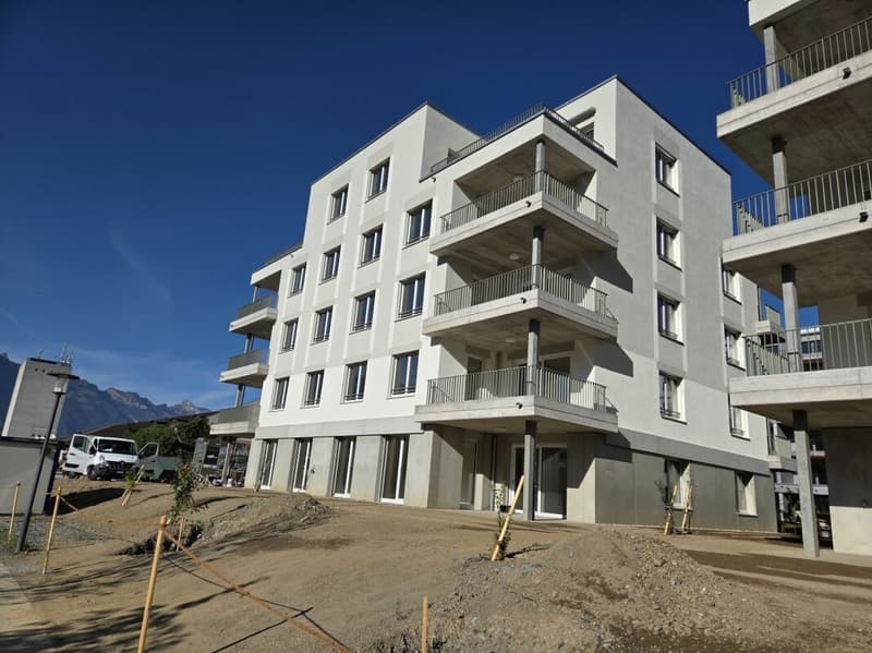4 1/2-Zimmer-Wohnung - Neubauprojekt "Rheincity" (14)