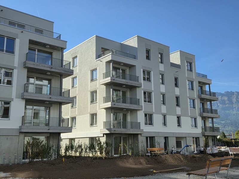 4 1/2-Zimmer-Wohnung - Neubauprojekt "Rheincity" (13)