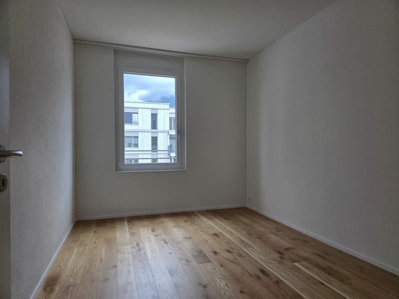 4 1/2-Zimmer-Wohnung - Neubauprojekt "Rheincity" (10)