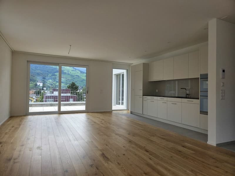 4 1/2-Zimmer-Wohnung - Neubauprojekt "Rheincity" (1)