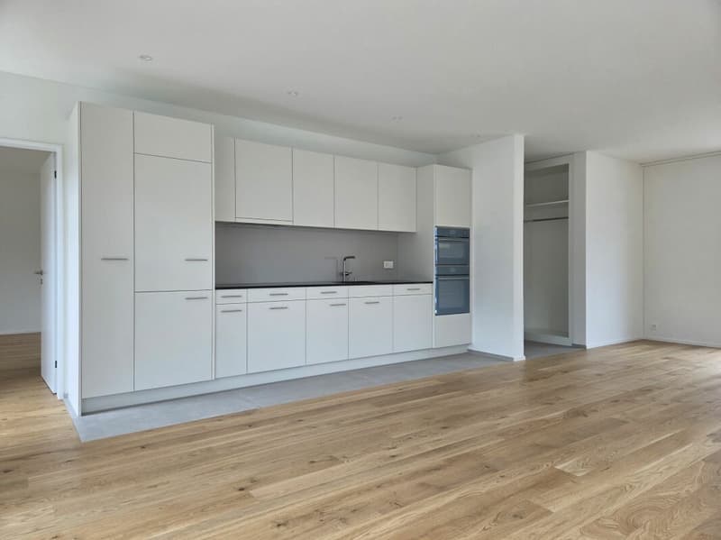 4 1/2-Zimmer-Wohnung - Neubauprojekt "Rheincity" (2)