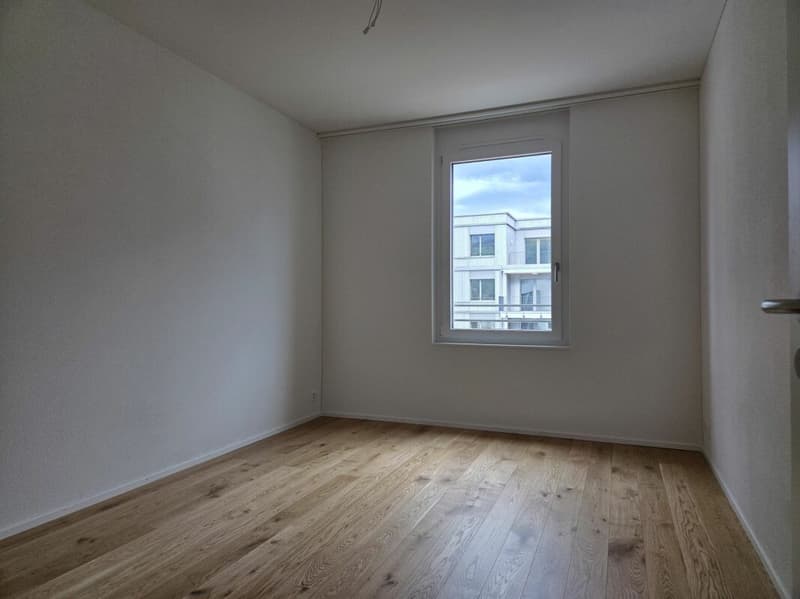 4 1/2-Zimmer-Wohnung - Neubauprojekt "Rheincity" (11)