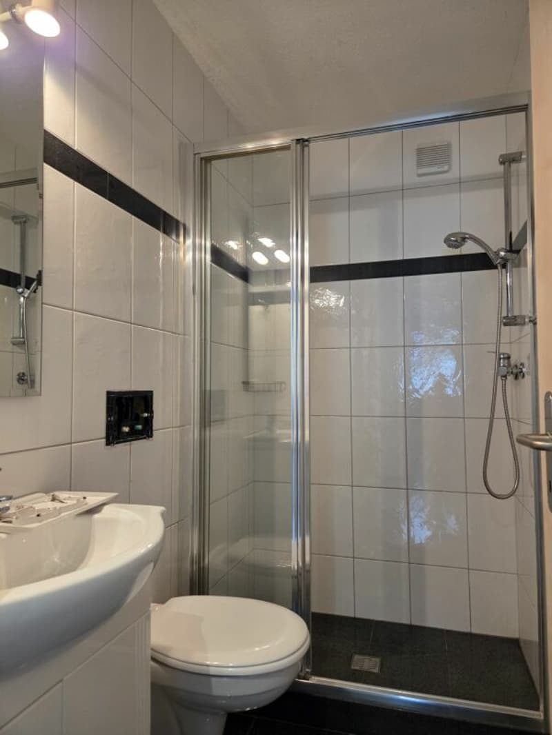 schöne 5.5 Zimmerwohnung an ruhiger Lage (9)
