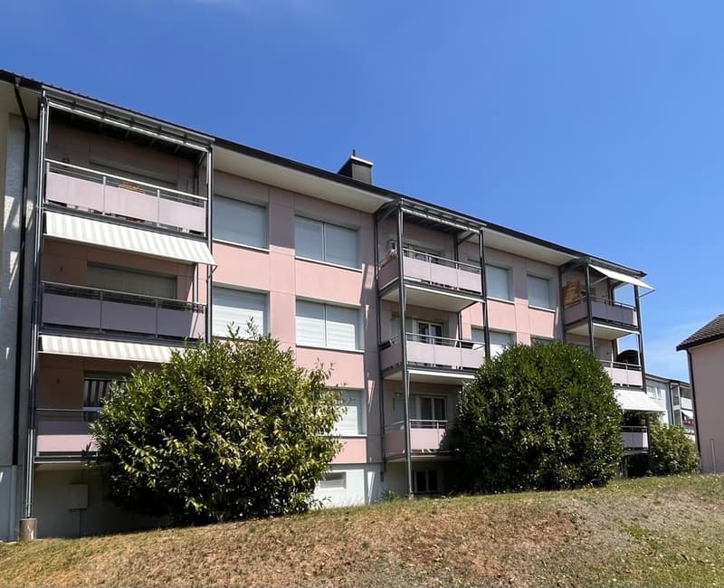 gemütliche Wohnung im obersten Stock (1)