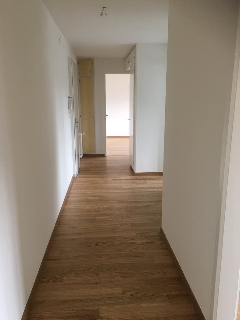 frisch renovierte 3-Zimmerwohnung im 2. OG (12)