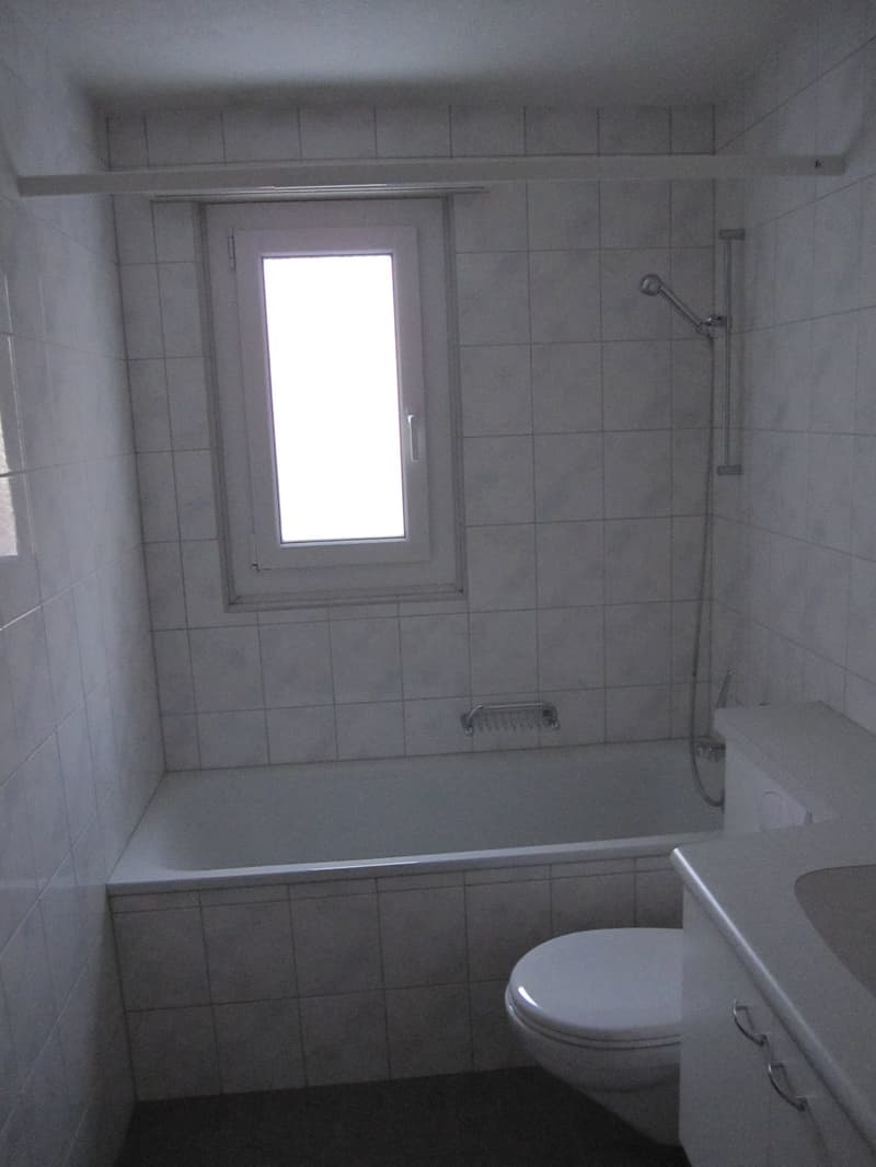 frisch renovierte 3-Zimmerwohnung im 2. OG (6)