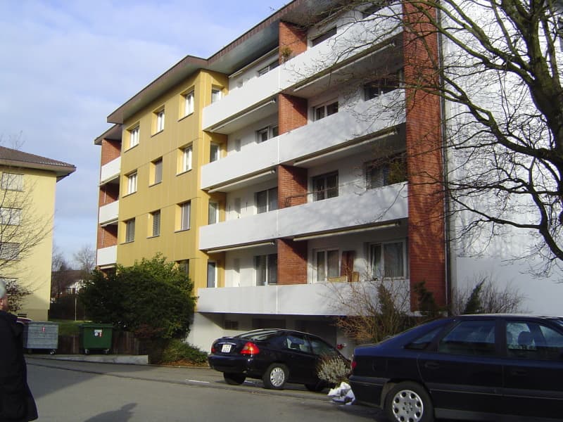 frisch renovierte 3-Zimmerwohnung im 2. OG (1)