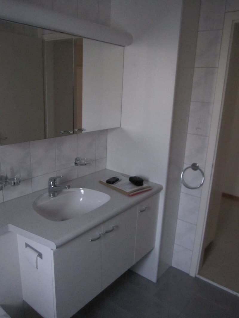 frisch renovierte 3-Zimmerwohnung im 2. OG (5)