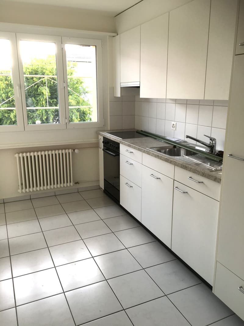 frisch renovierte 3-Zimmerwohnung im 2. OG (4)