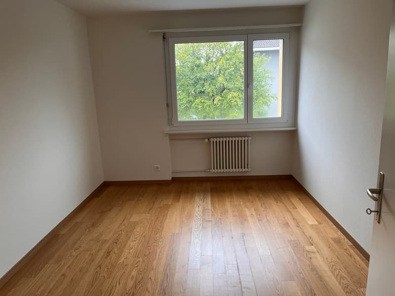frisch renovierte 3-Zimmerwohnung im 2. OG (9)