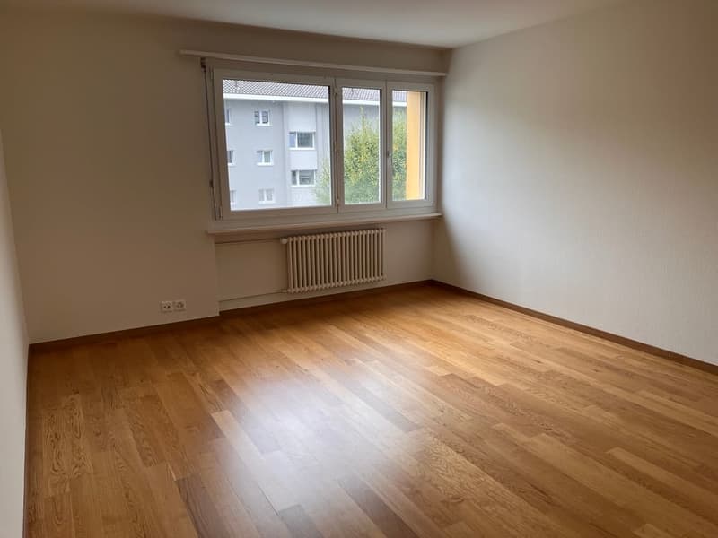 frisch renovierte 3-Zimmerwohnung im 2. OG (8)