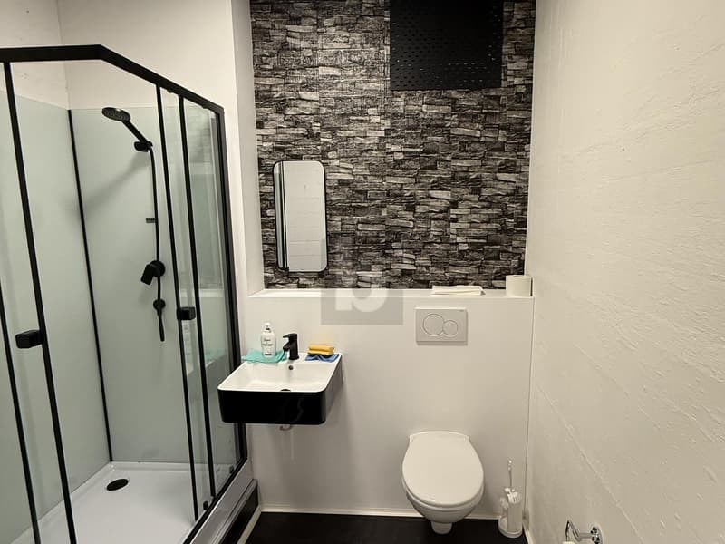 Avec cuisine thé, douche et ventilation (2)