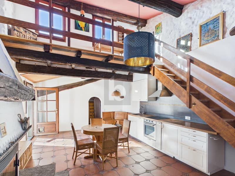 Charming and cozy apartment with terrace (1)