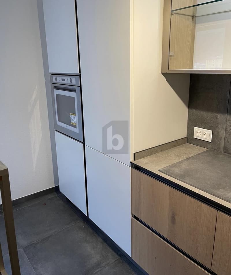 Spacious Apartment with Garden (3)