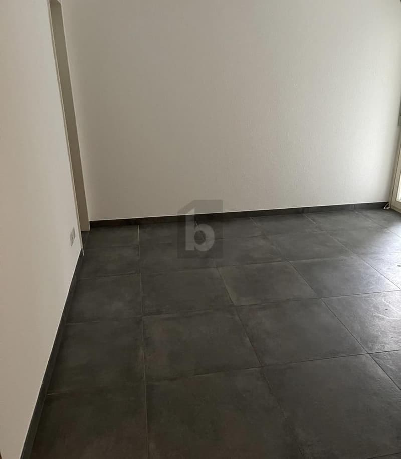 Spacious Apartment with Garden (5)