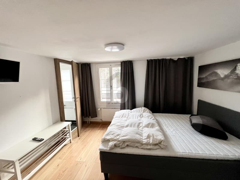 HOTEL AS A CAPITAL INVESTMENT WITH DEVELOPMENT POTENTIAL (1)