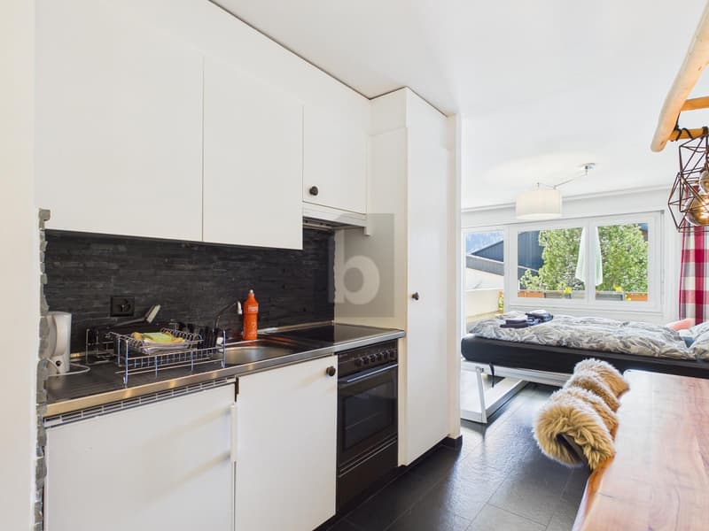 PANORAMIC VIEW, IN THE SUNNEST QUARTER (4)