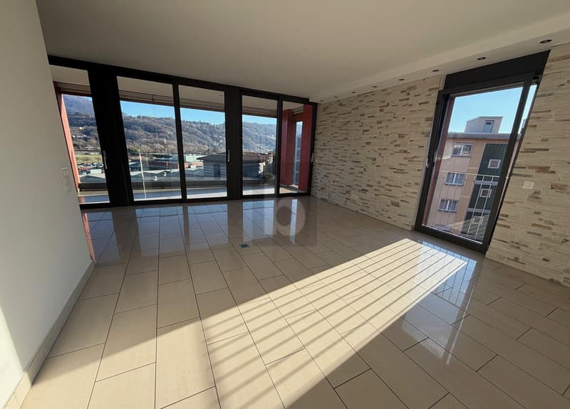 LARGE TERRACE WITH LAKE VIEW (3)