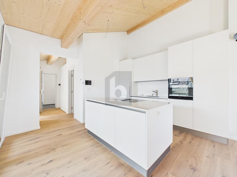 New building on Lake Werdenberg (B301) (4)