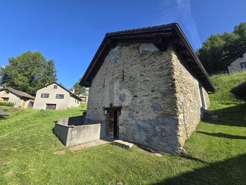 In sunny position to be renovated (1)